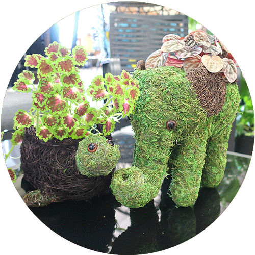 A turtle and an elephant planter made of moss and twigs.